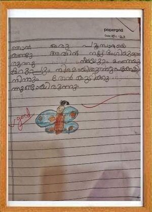 16440-kkd-kuju-mizhika raj.jpeg