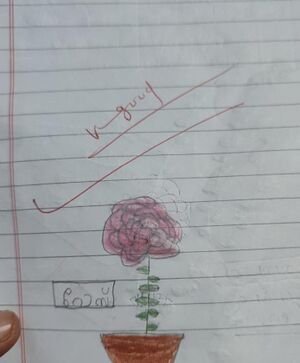 18454-MLP-KUNJ RINHASANA 1D.jpeg