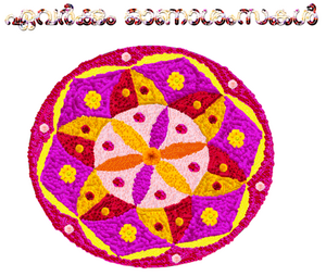 19359 mlp dp 2019 1.png