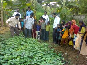 19833 krishi 101.jpg