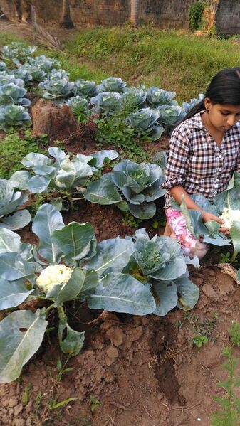 പ്രമാണം:22014 KUTTIKARSHAKA.jpg