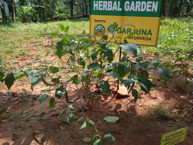 പ്രമാണം:29032 801.jpg