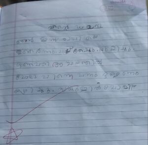 35330-ALP-KUNJ-ABHINAV RAJ.jpg