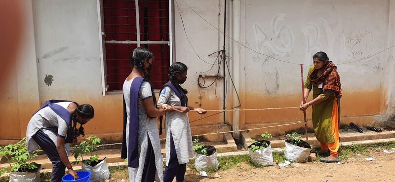 പ്രമാണം:37001 krishi.jpeg