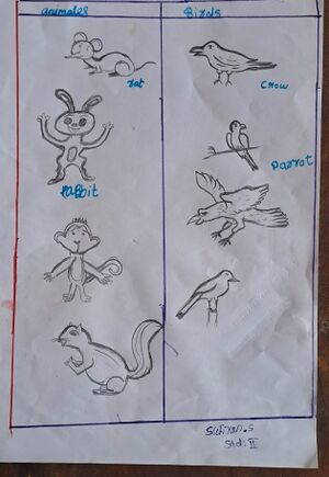 39509-KLM- KUNJ-SAFWAN.jpg