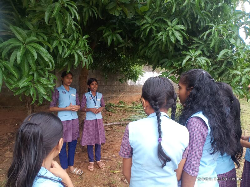 പ്രമാണം:3 lk.jpg