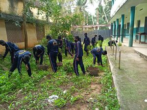 44021 school cleaning 1.jpg