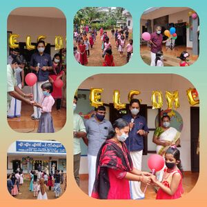 BS21 MLP 18415-2.jpg