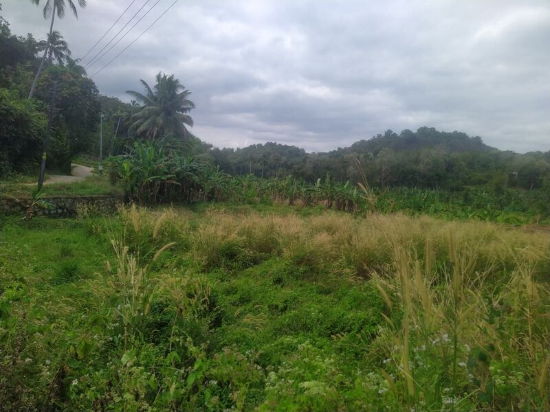 പ്രമാണം:Entegramam 40031.jpg