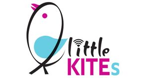 Kites.jpg.image.784.410.jpg