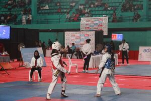 Ksk 2024-Taekwondo-RSC Ekm- 26093-StRitas-09.jpg