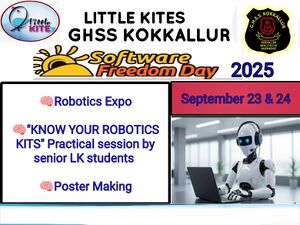 Poster software freedom ay programmes.jpg