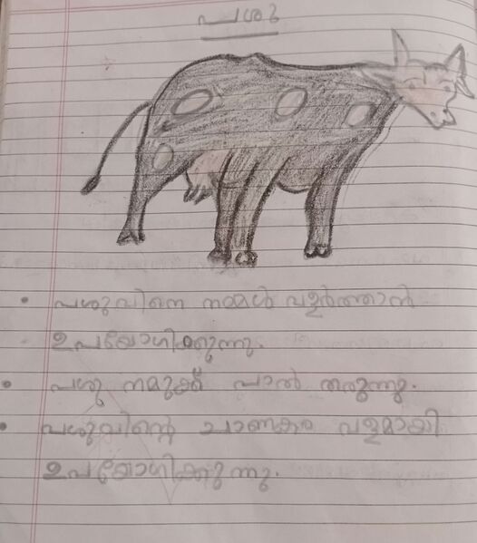 പ്രമാണം:20251-PKD-KUNJ-FATHIMA ASWA.jpg