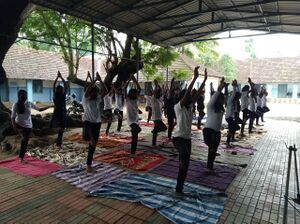 25059 ekm yoga 3.jpg