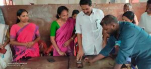 25402 wikki 3 (39) 29.jpg