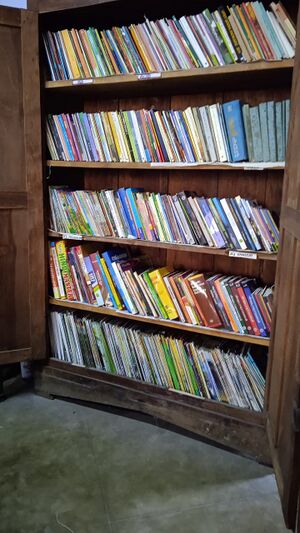 26058 library-1.jpeg