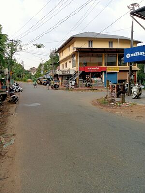 27012 Ente Gramam 5.jpg