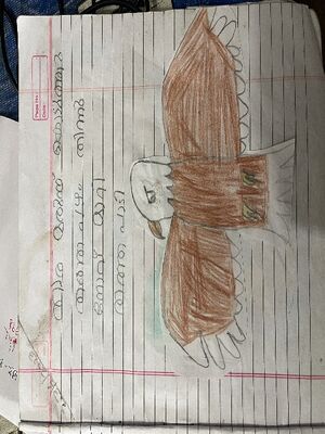 29044-idk-kunj-navaneth renju.jpg