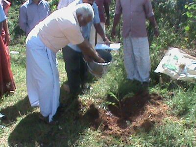 പരിസ്ഥിതിദിനം