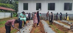 31262-valavoor-farming 2.jpg