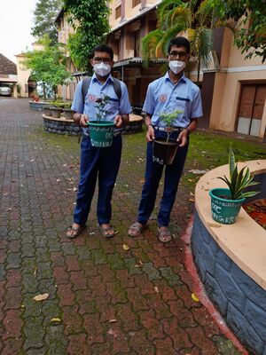 33056 july17 18.jpeg