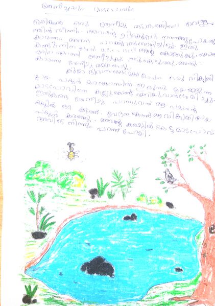 പ്രമാണം:35002-ALP-KUNJ-MUHSINA H.jpg