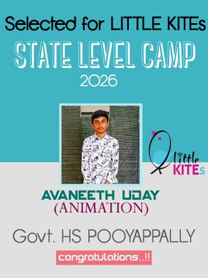 39029 StateLevelCamp.jpg