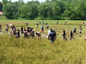 41011 karshikaclub2.jpg