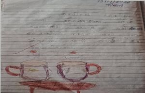 48246-MLP-HANIYA MEHRIN.jpg