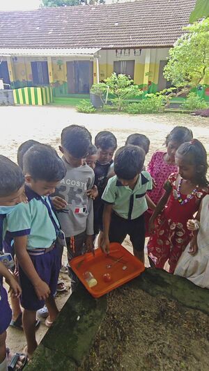 ALP 35330 EXPERIMENT1.jpg