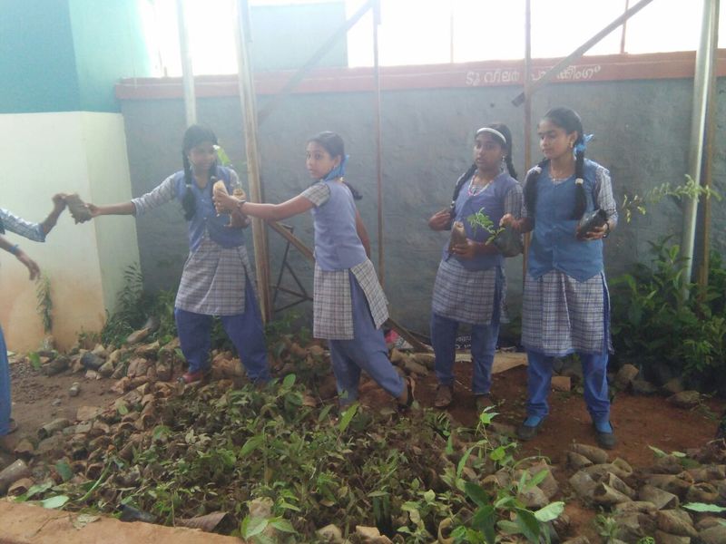 പ്രമാണം:PICTURE 2.jpg