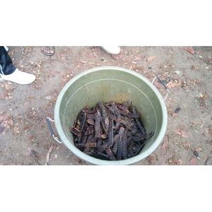 SEED TP PANCHAYATH11.jpg