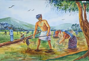 SSK2025-26 902 HSS General A 6 17010.jpg