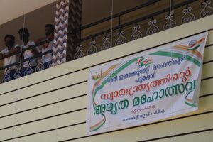 Vilambara rally 35052 22 (1).JPG