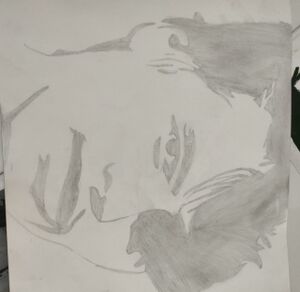 11021-Ayshath Misbana8F1.jpeg