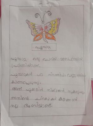 13369 KUP MUHAMMED SINAN.jpeg