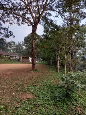 15227 surroundings.jpeg