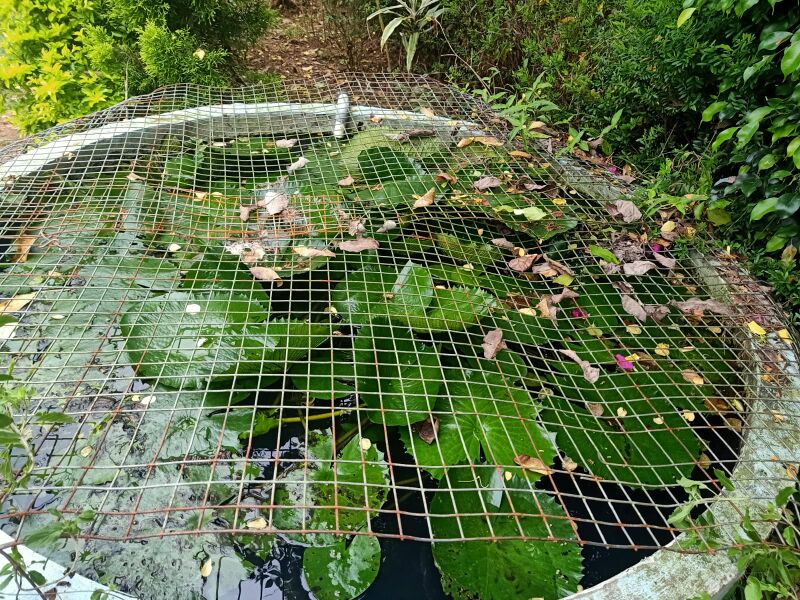 പ്രമാണം:15320 153.jpg