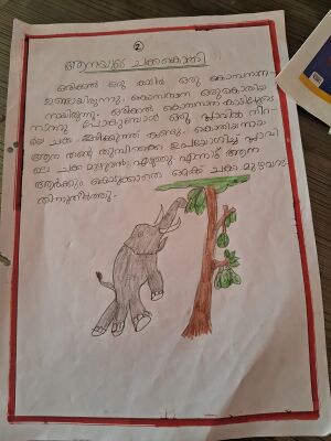 18205-MPM FARHA.jpeg