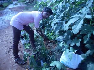 19058-nss agri2.jpeg