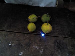 19058-sciencefair 9.jpg