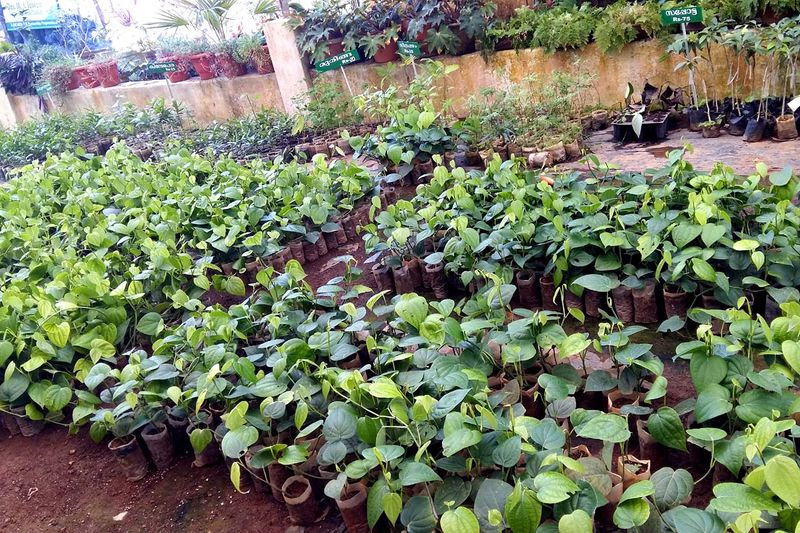 പ്രമാണം:20161123 134309qaEBHtves.jpg