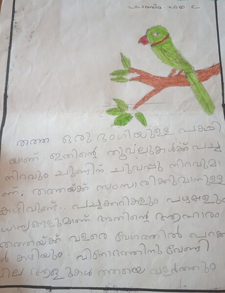 പ്രമാണം:20224-pkd-haya C.resized.resized.jpg