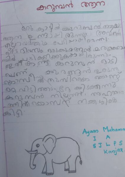പ്രമാണം:29231-IDK-KUNJ-AYAN MUHAMMAED.jpeg