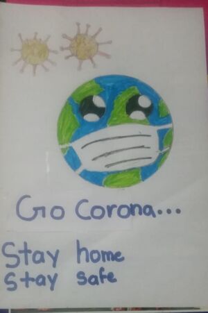 29304-go corona 1.jpeg