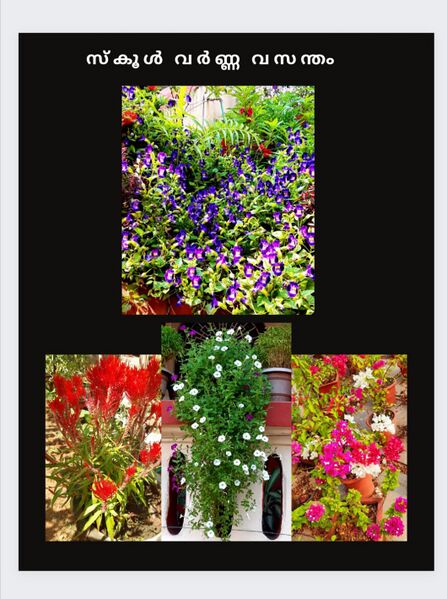 പ്രമാണം:33025 yyorchard4.jpg