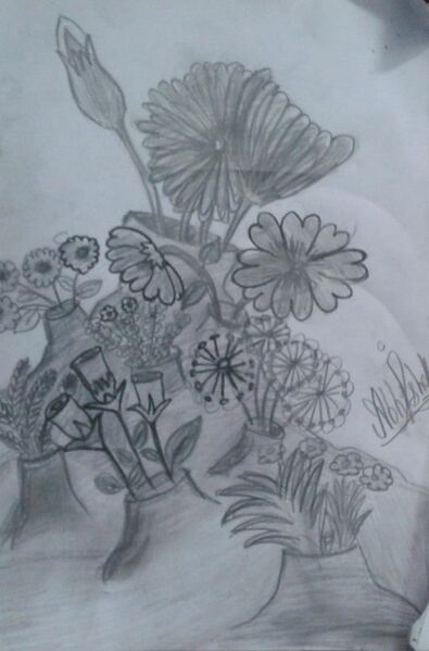 പ്രമാണം:33056 abhishek p2.jpeg