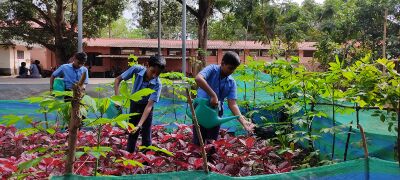 പച്ചക്കറിത്തോട്ടം