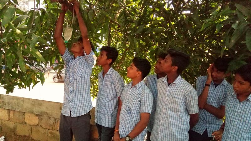 പ്രമാണം:36037 seed9.jpeg