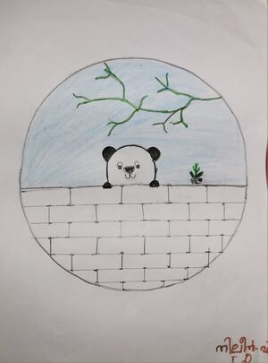 39264-KLM-KUNJ-NILEEN V 1.jpg